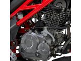 BENELLI TNT 125 E5 